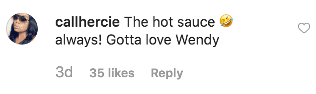 Fan comments on a bottle of hot sauce in Wendy Williams Thanksgiving picture | Source: Instagram.com/wendyshow