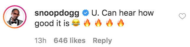 Snoop Dogg commented on a video he posted of a brunch he prepared cooking on the stove | Source: Instagram.com/snoopdogg