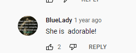  A netizen's comment on the YouTube video  | Photo:   youtube.com/KFOR Oklahoma's News 4  