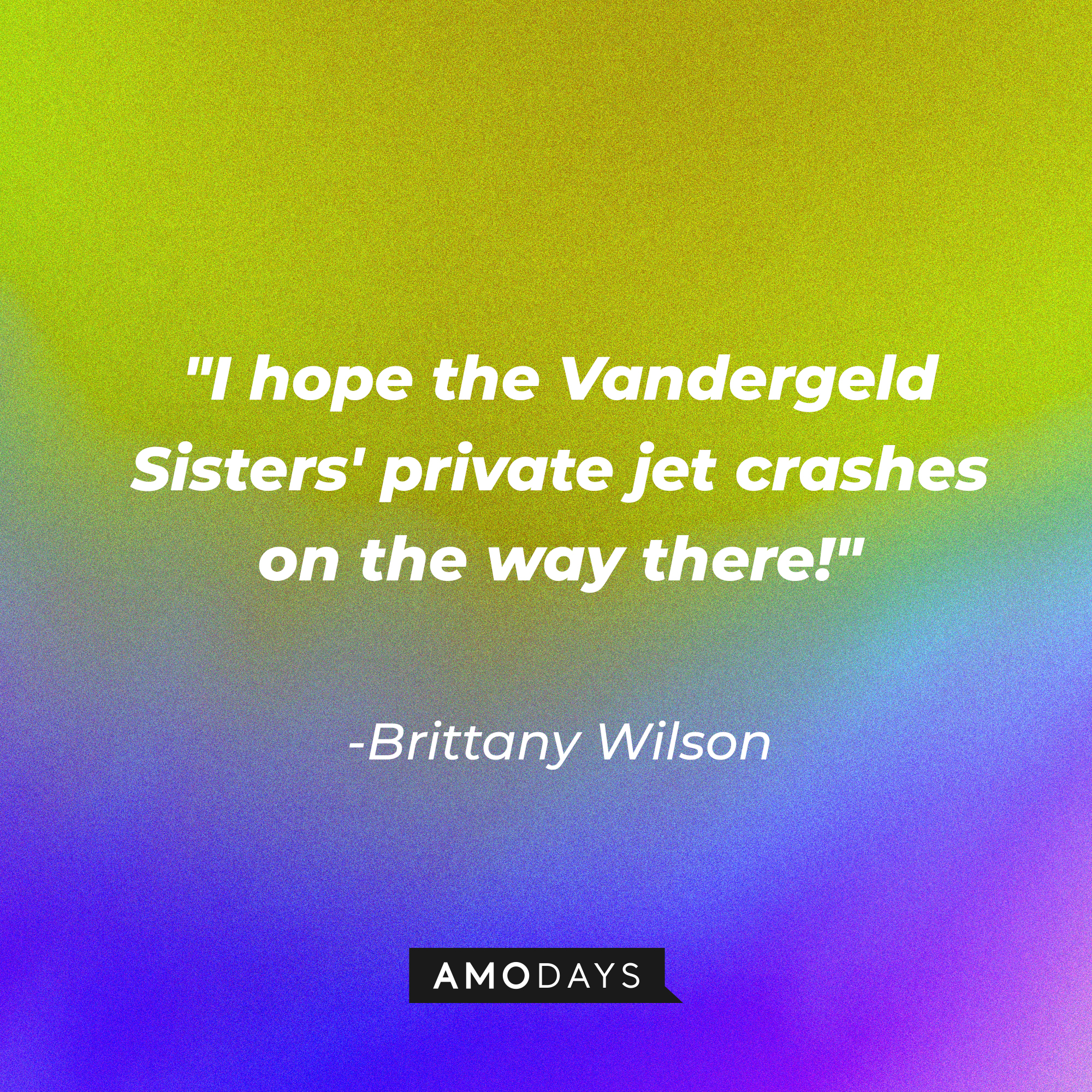 Brittany Wilson's quote: "I hope the Vandergeld Sisters' private jet crashes on the way there!" | Source: Amodays