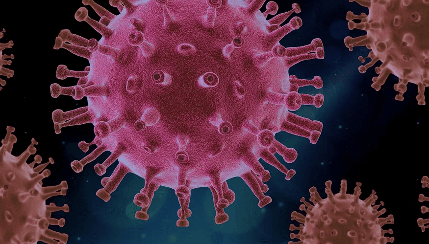 A 3D diagrammatic representation of the Covid 19 virus | Photo: Pixabay