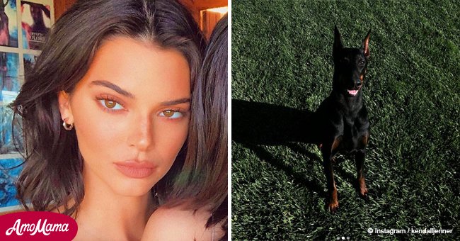 Grandfather of girl, 5, who was allegedly bitten by Kendall Jenner's dog speaks out