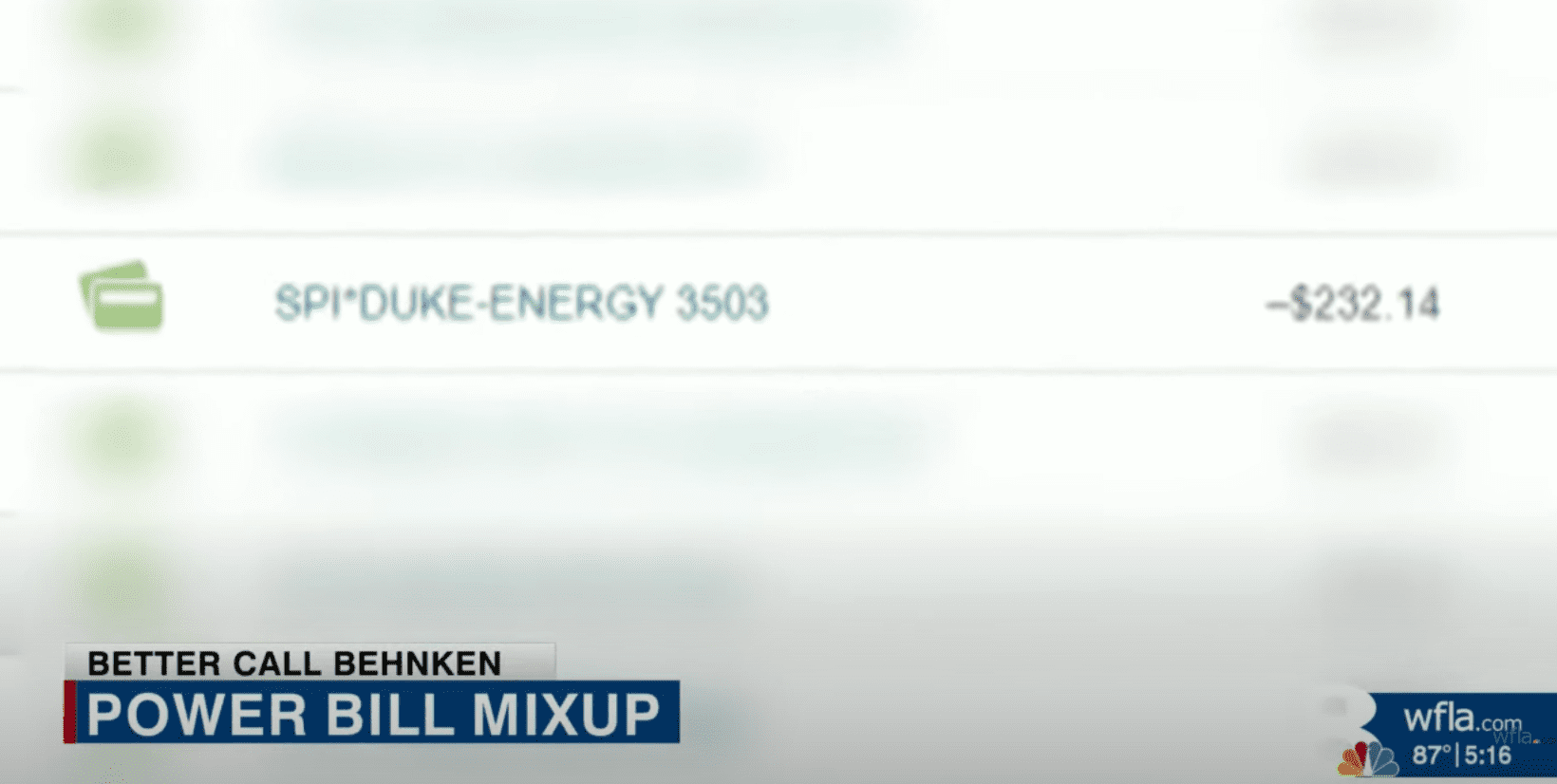 Bank statement reflects the debit payment made from a woman's account to an unknown energy company | Photo: Youtube/WFLA News Channel 8