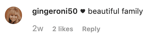 A fans comment on Denise Richards' Instagram post. | Source: Instagram/deniserichards