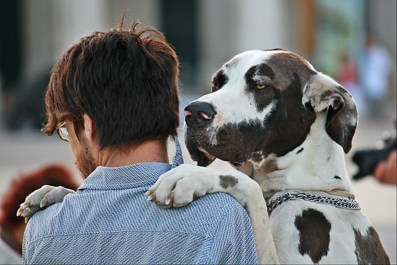 Hombre abrazando a un perro.| Imagen: Wikipedia