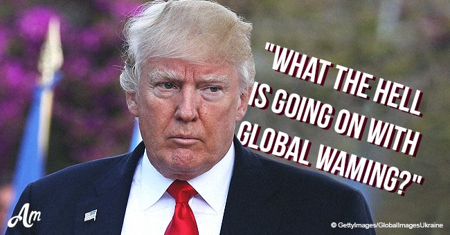 Donald Trump sends sarcastic plea to 'Global Waming' instead of 'Warming' asking it to come back