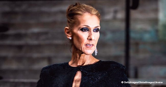 Céline Dion's First English Interview Gave a Glimpse into Her Huge Family: Where Are They Now?