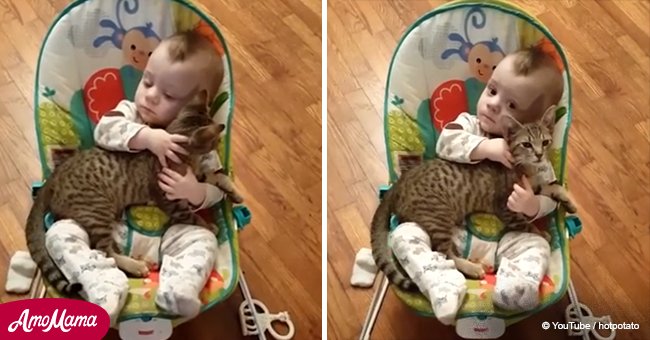Baby born severely premature finds a kindred spirit in a tiny kitty