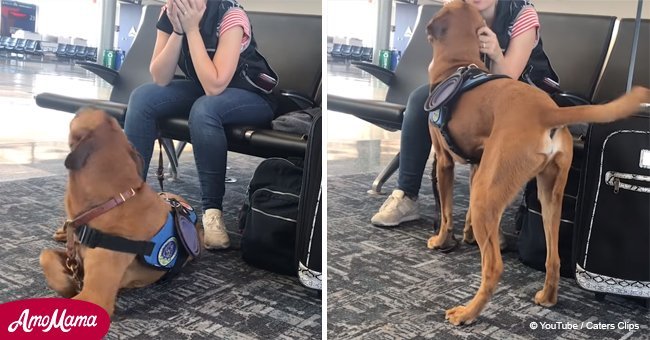 Dog realizes owner is having a panic attack and comforts her in an adorable way