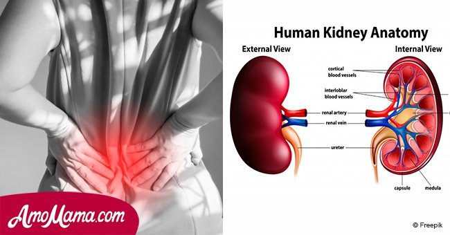 Simple way to detox your kidneys and improve their functionality