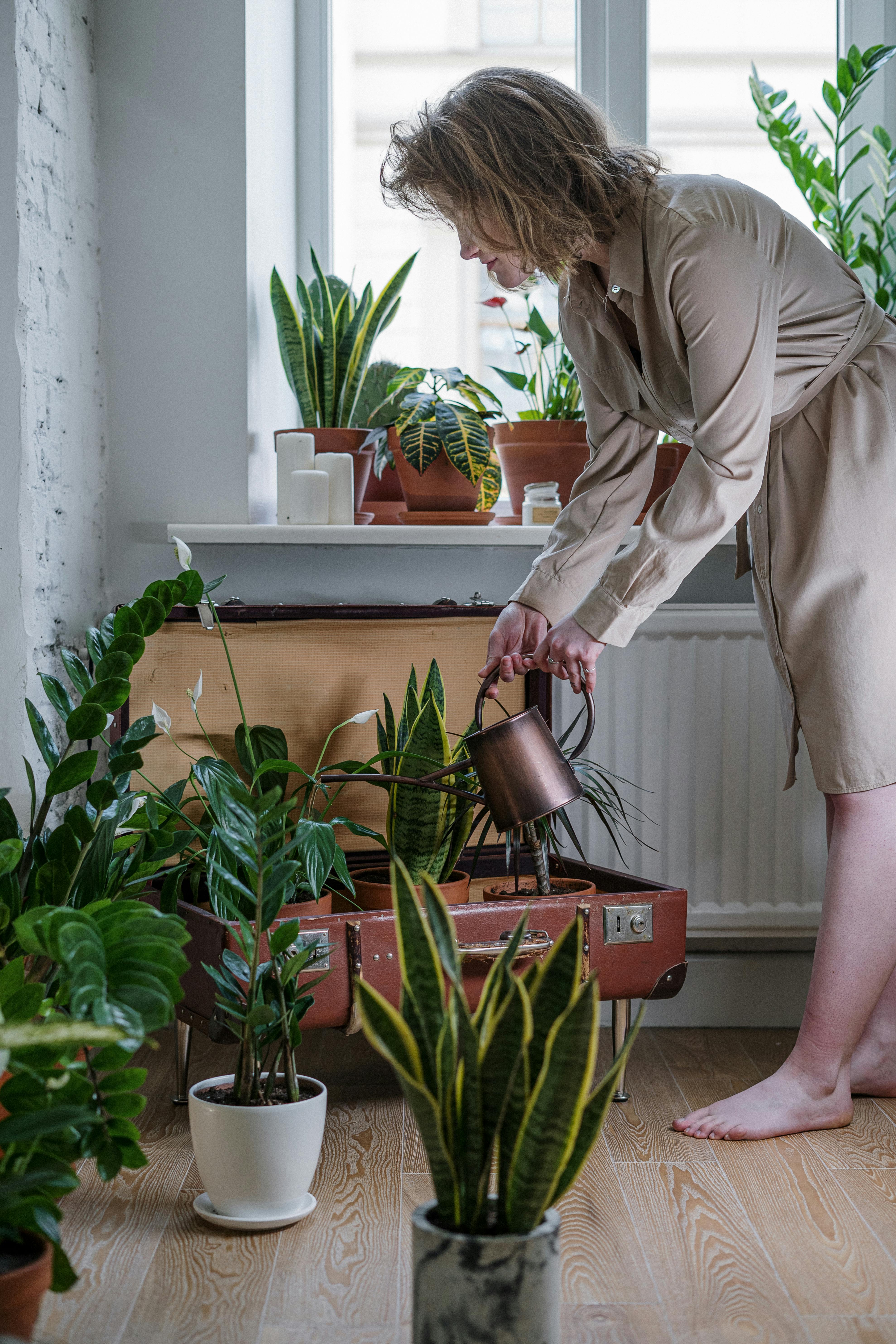 A woman watering plants | Source: Pexels