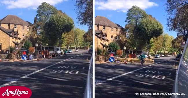 Heartstopping moment cyclist is almost crushed by a huge tree