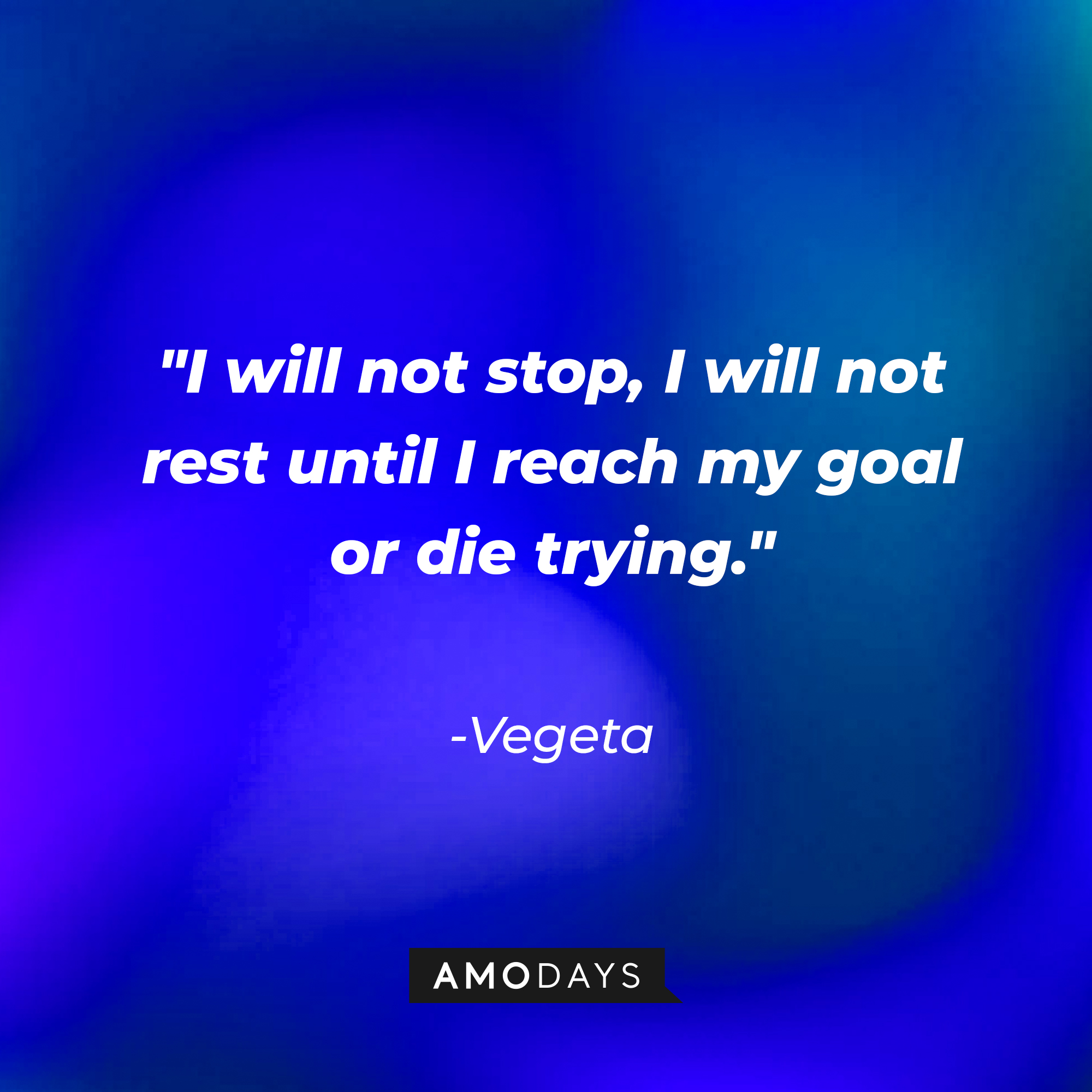 Vegeta's quote: "I will not stop, I will not rest until I reach my goal or die trying." | Source: Amodays