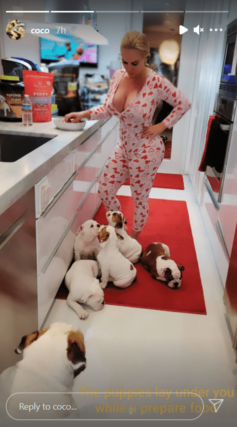 A picture of Coco Austin in her pajamas while making dinner with her puppies lying on the floor. | Photo: Instagram/Coco