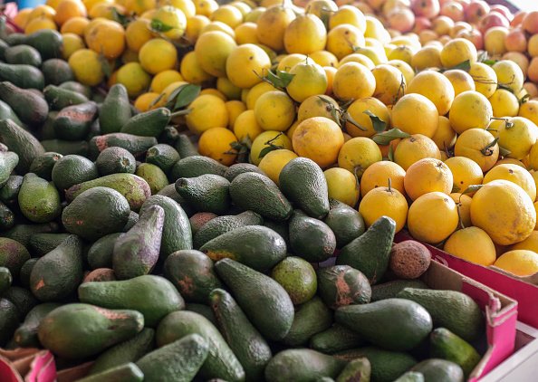 Avocats et citrons vendus dans une épicerie du camp de Jabalia. |Photo : Getty Images