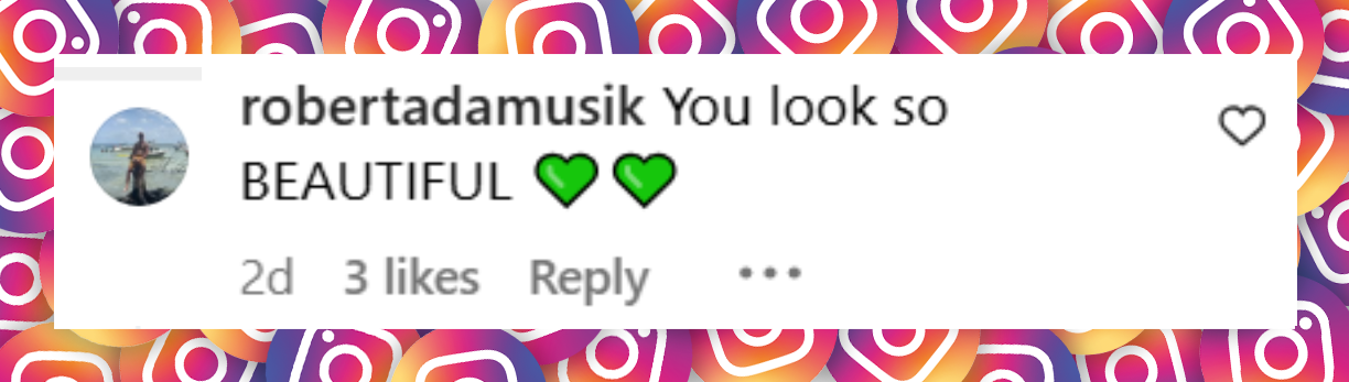 A netizen's comment on Ivanka Trump's carousel from June 18, 2025 | Source: Instagram/ivankatrump