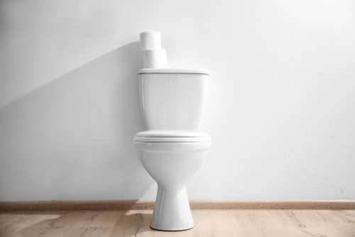 Bild einer Toilettenschüssel | Quelle: Shutterstock