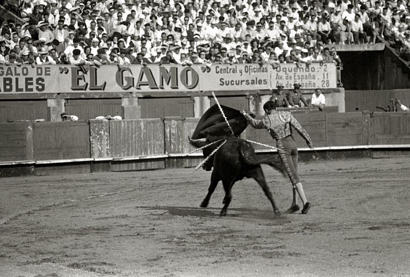 Corrida de toros en la plaza de 'El Txofre', provincia Gipuzkoa, España. | Imagen: Wikimedia Commons Corrida de toros en la plaza de 'El Txofre', provincia Gipuzkoa, España. | Imagen: Wikimedia Commons