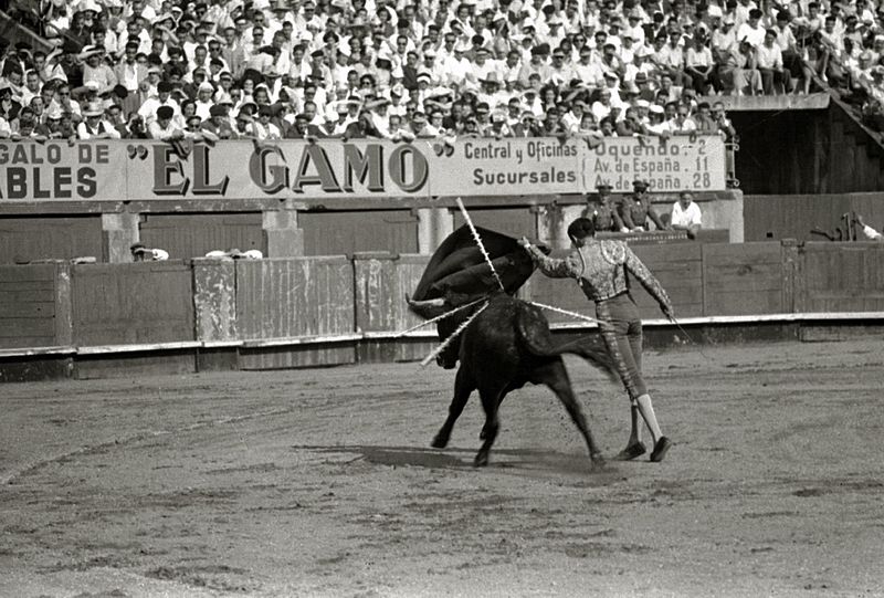 Corrida de toros en la plaza de 'El Txofre', provincia Gipuzkoa, España. | Imagen: Wikimedia Commons