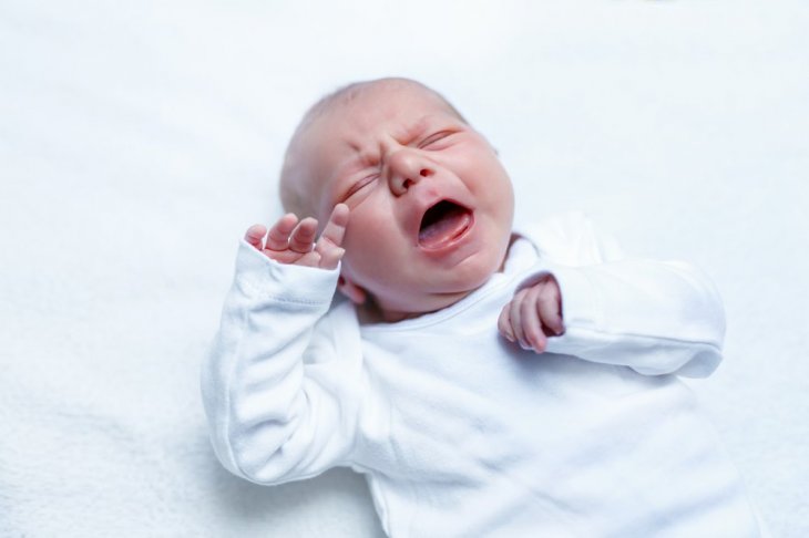 Quelle: Shutterstock