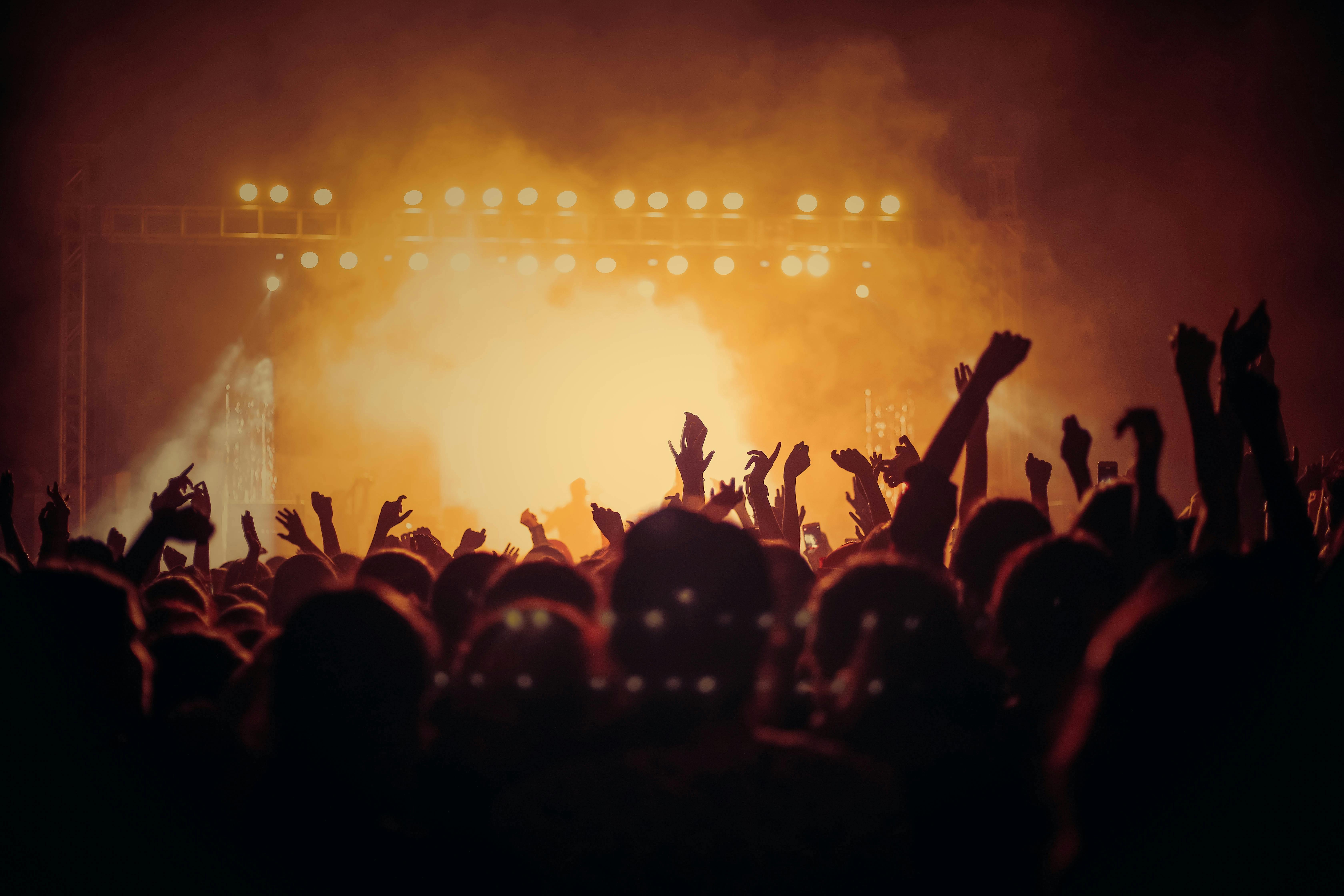 Fans at a concert | Source: Pexels