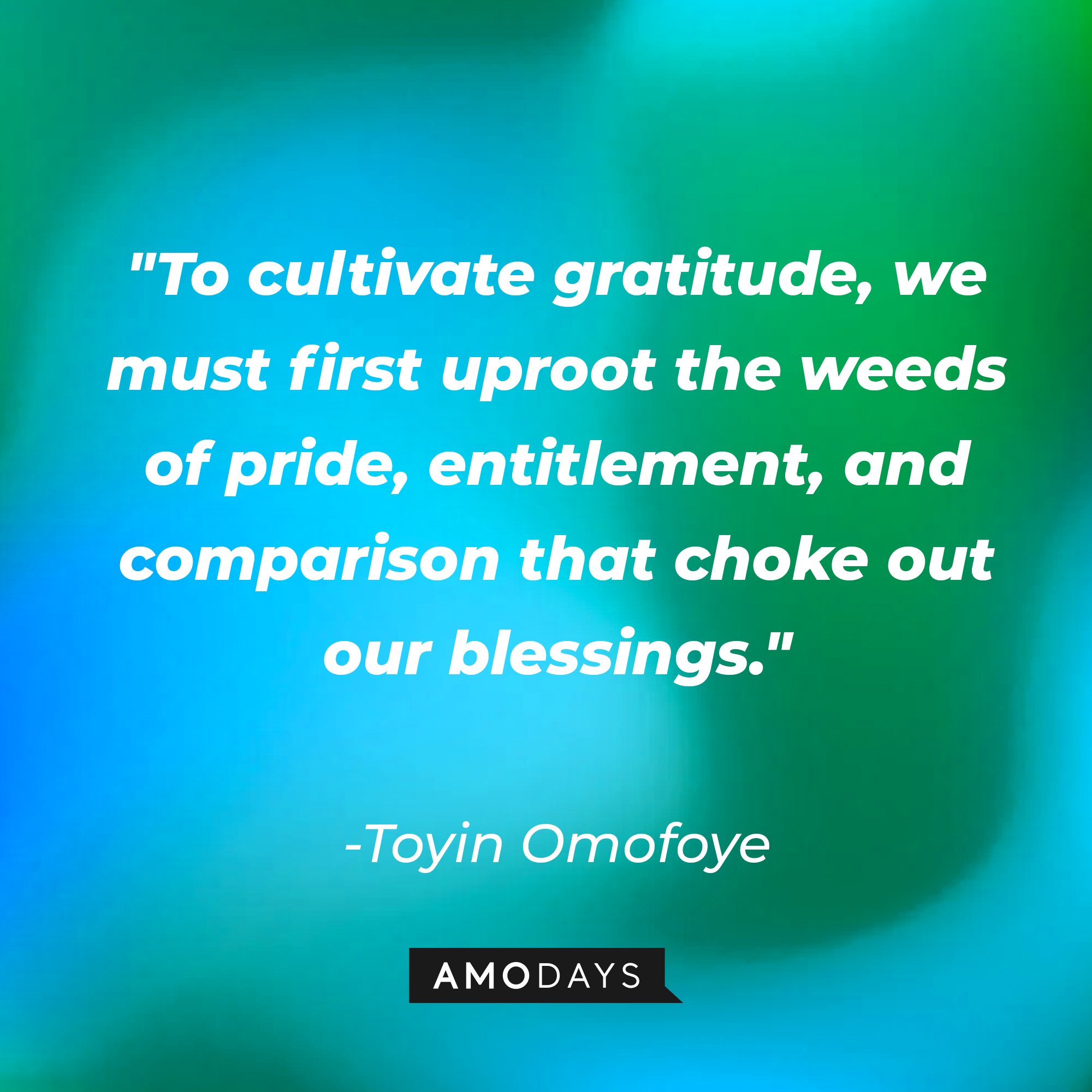 Toyin Omofoye’s quote: "To cultivate gratitude, we must first uproot the weeds of pride, entitlement, and comparison that choke out our blessings." | Image: AmoDays