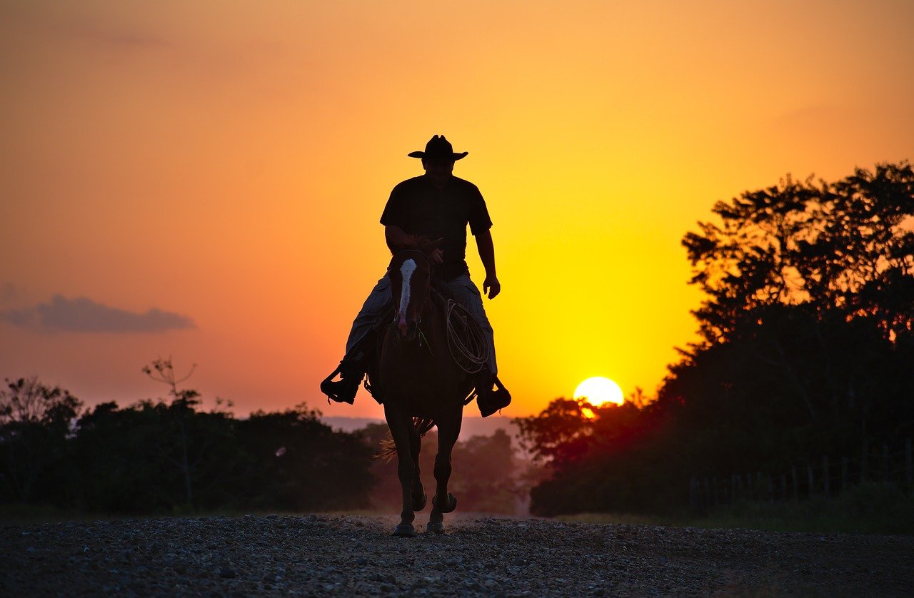 A shadowy image of a cowboy riding off in the sunset on his horse | Photo: Pixabay