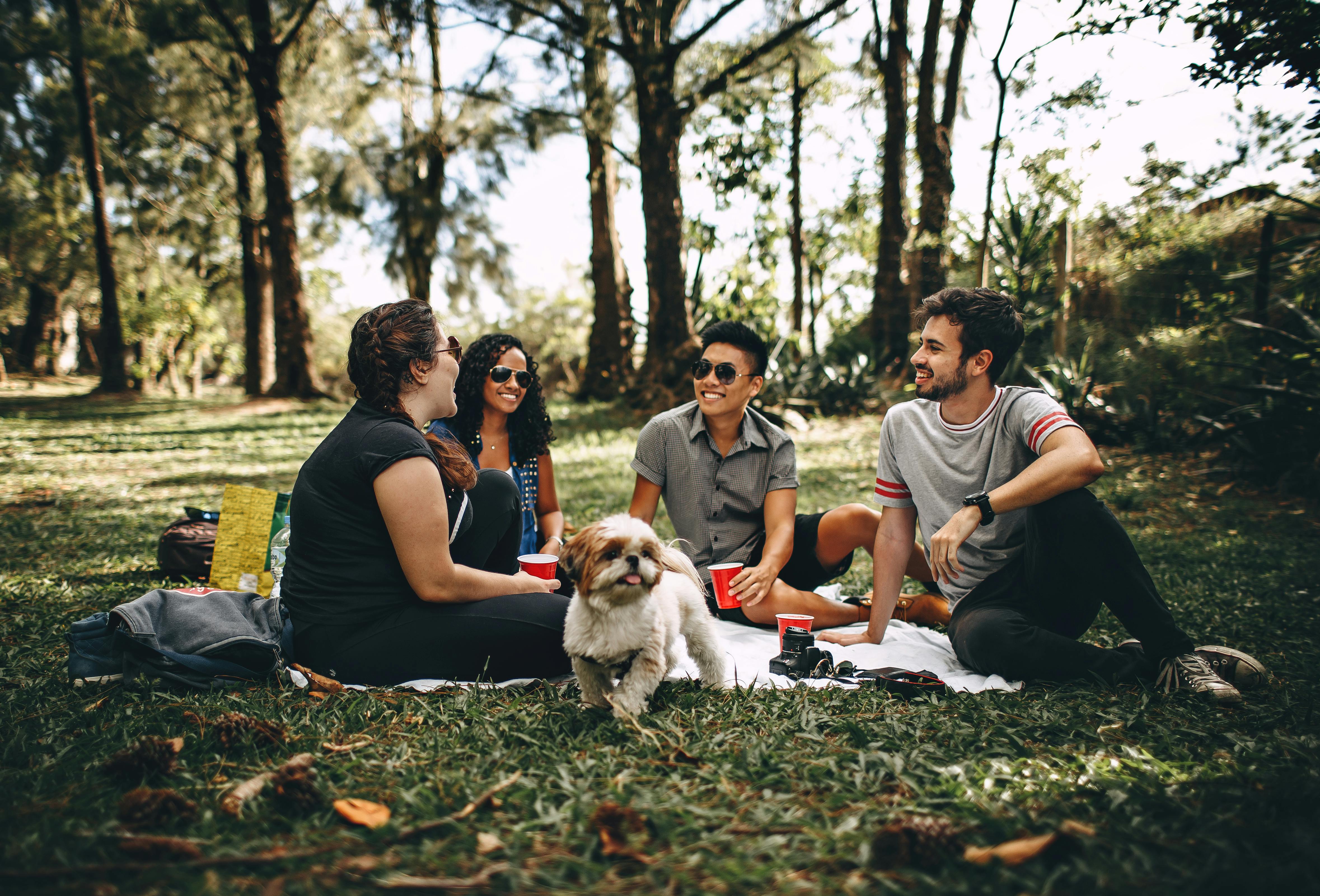 Friends on a picnic | Source: Pexels