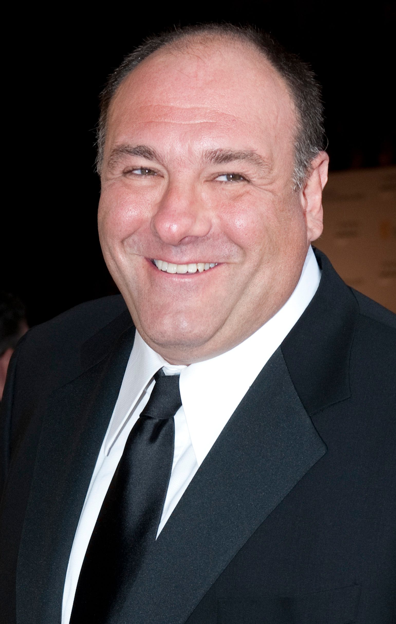 James Gandolfini during the 2011 BAFTA Brits To Watch Event on July 9, 2011 in Los Angeles, California. | Source: Getty Images
