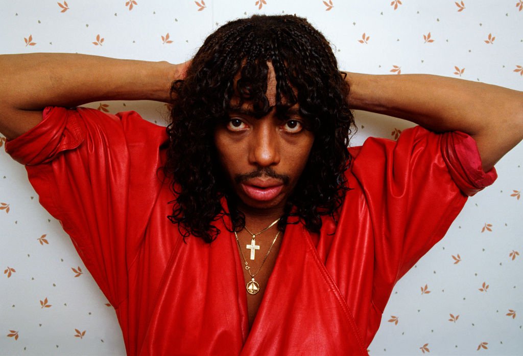 Rick James poses during a 1987 West Hollywood, California photo session | Photo: Getty Images