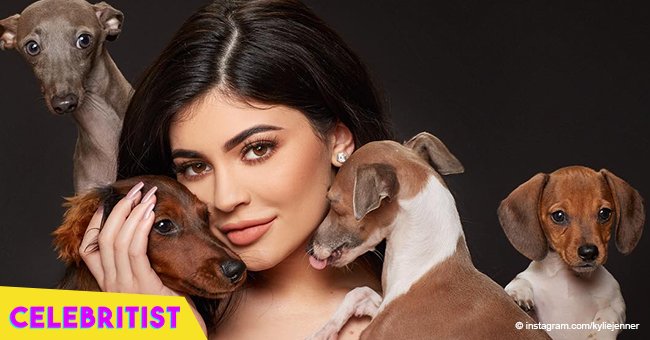 Kylie Jenner builds lavish canine 'guest house' with air conditioning & heating system for her dogs