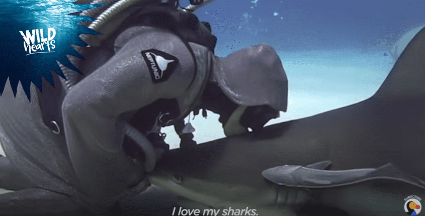 Une femme a retiré plus de 300 hameçons de la bouche des requins. | Photo : Youtube/Le Dodo Wild Hearts