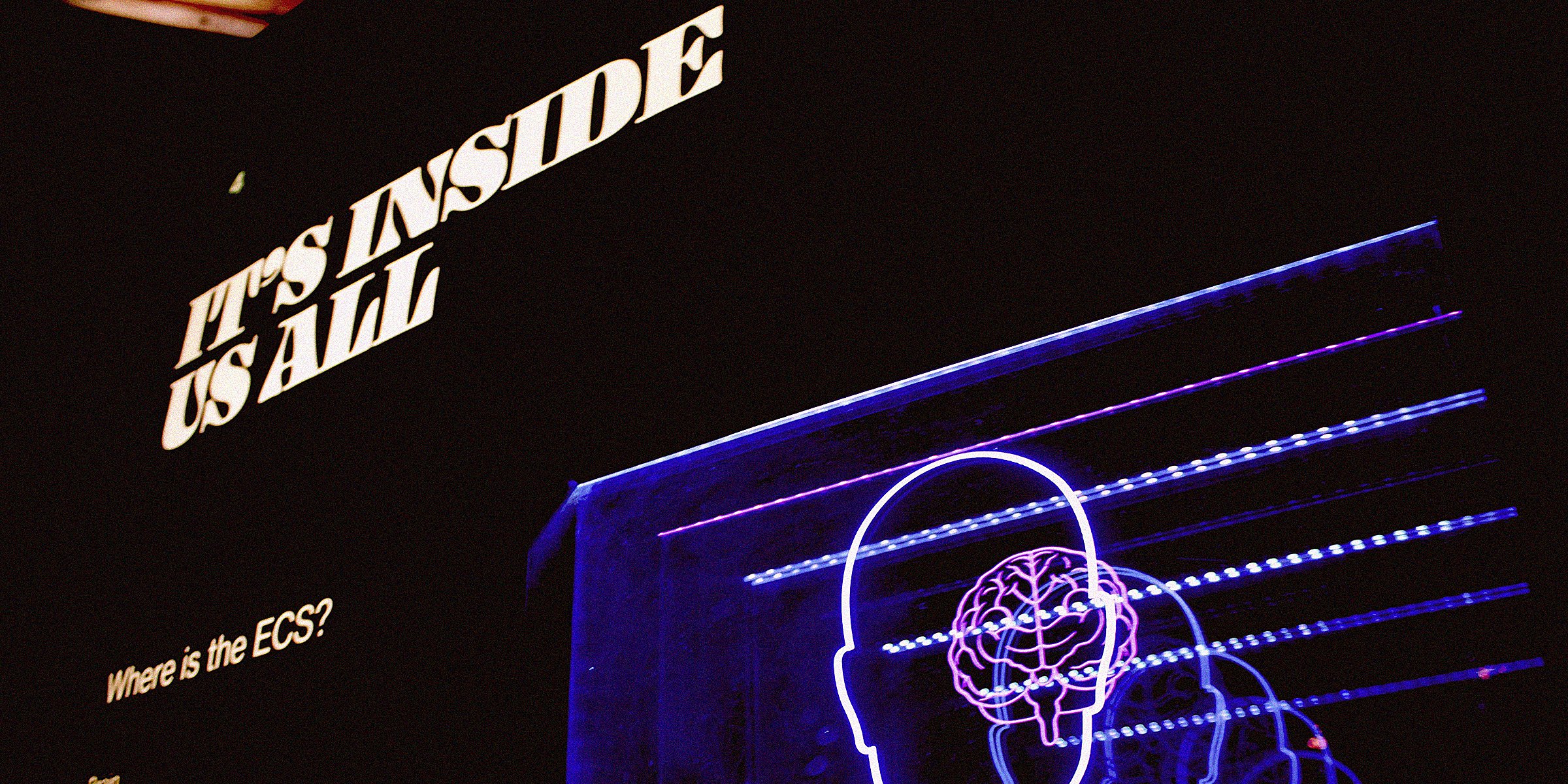 Neon structure next to copy that reads 'It's inside us all' and 'Where is the ECS?'' | Source: Unsplash