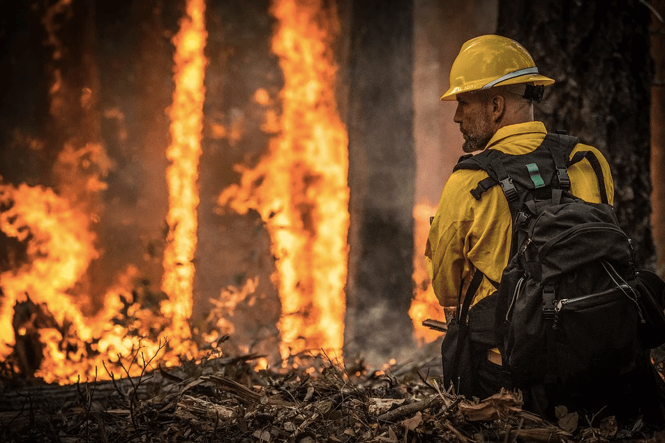 A firefighter looks on during a wildfire mission | Photo: Pixabay