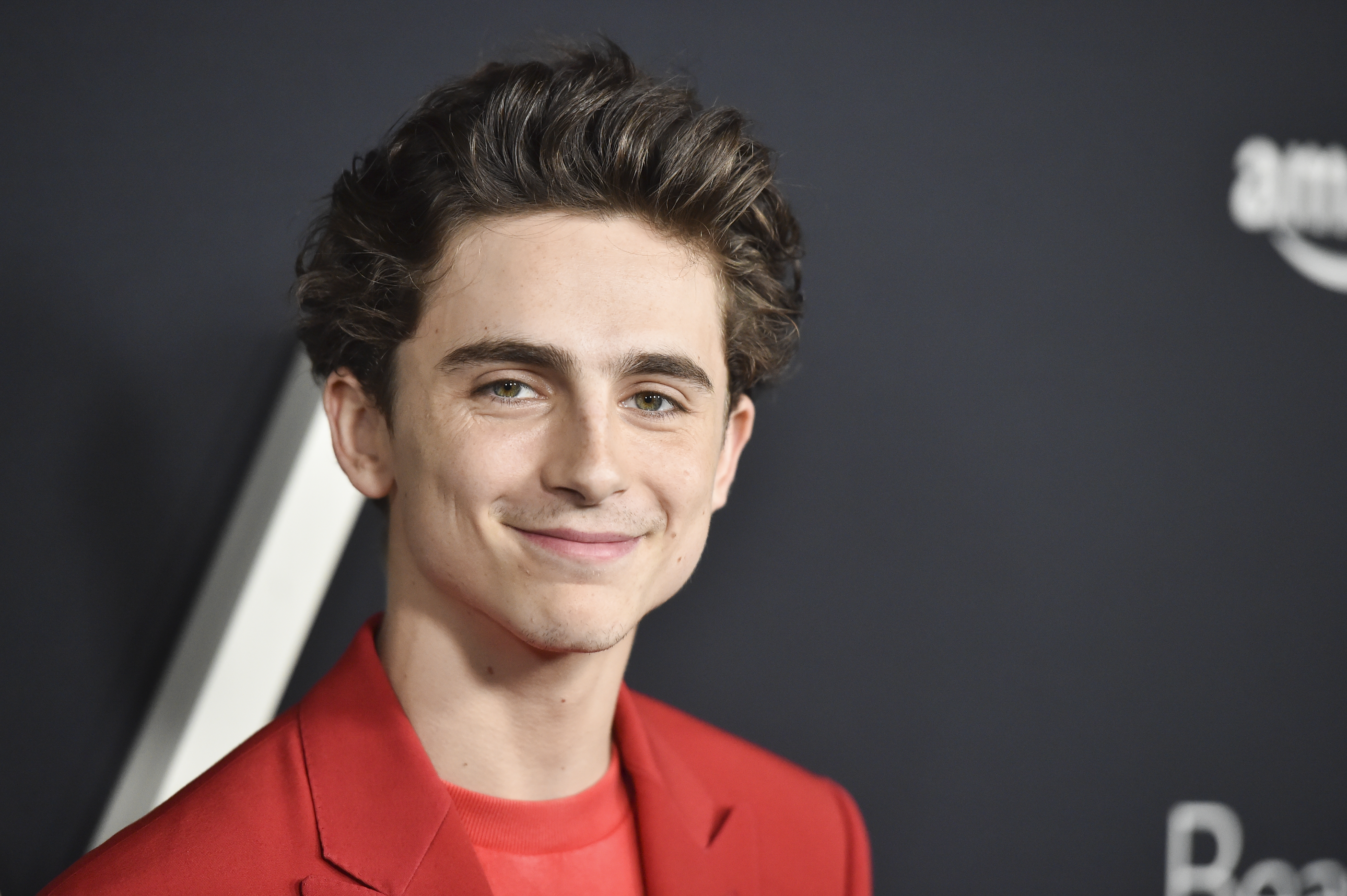 Timothée Chalamet at the "Beautiful Boy" premiere in, Los Angeles, on October 8, 2018. | Source: Getty Images