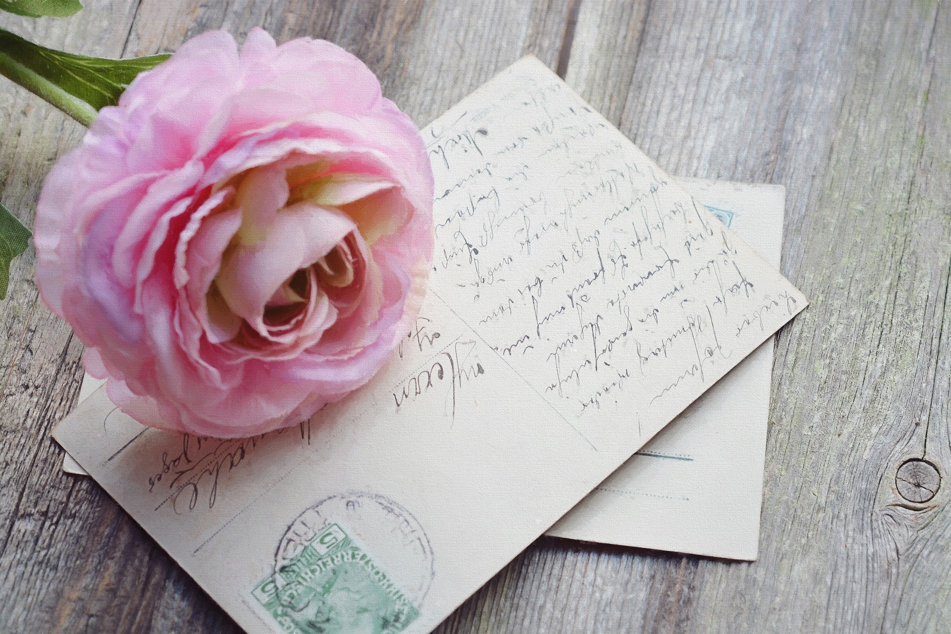Postcard and a flower. | Source: Pixabay