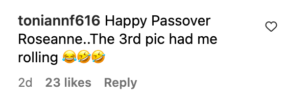 A fan comments on Roseanne Barr's looks on her Instagram post | Source: Instagram/@officialroseannebarr