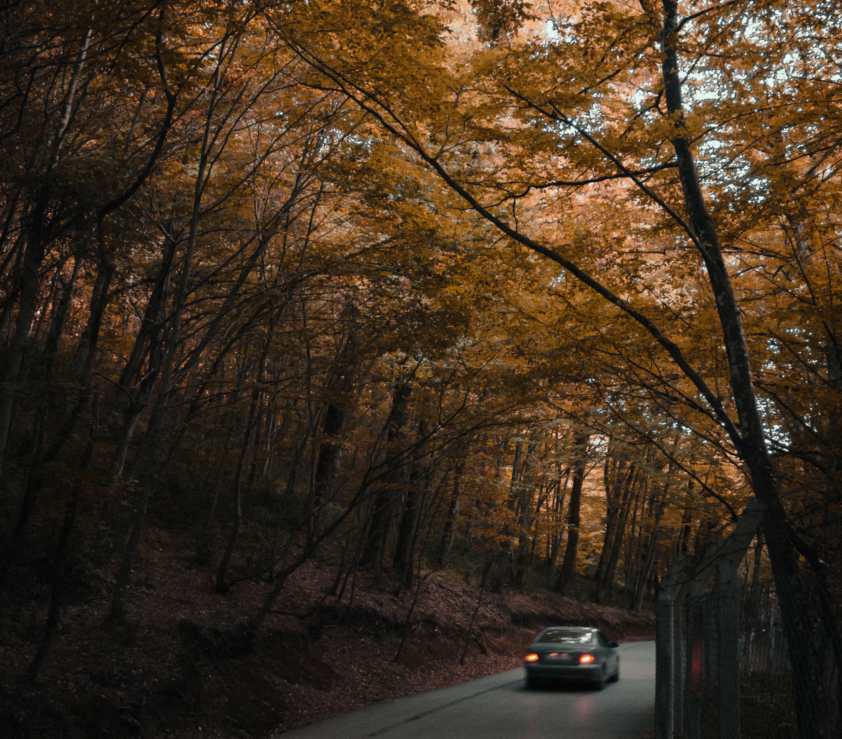 For illustration purposes only | Source: Unsplash