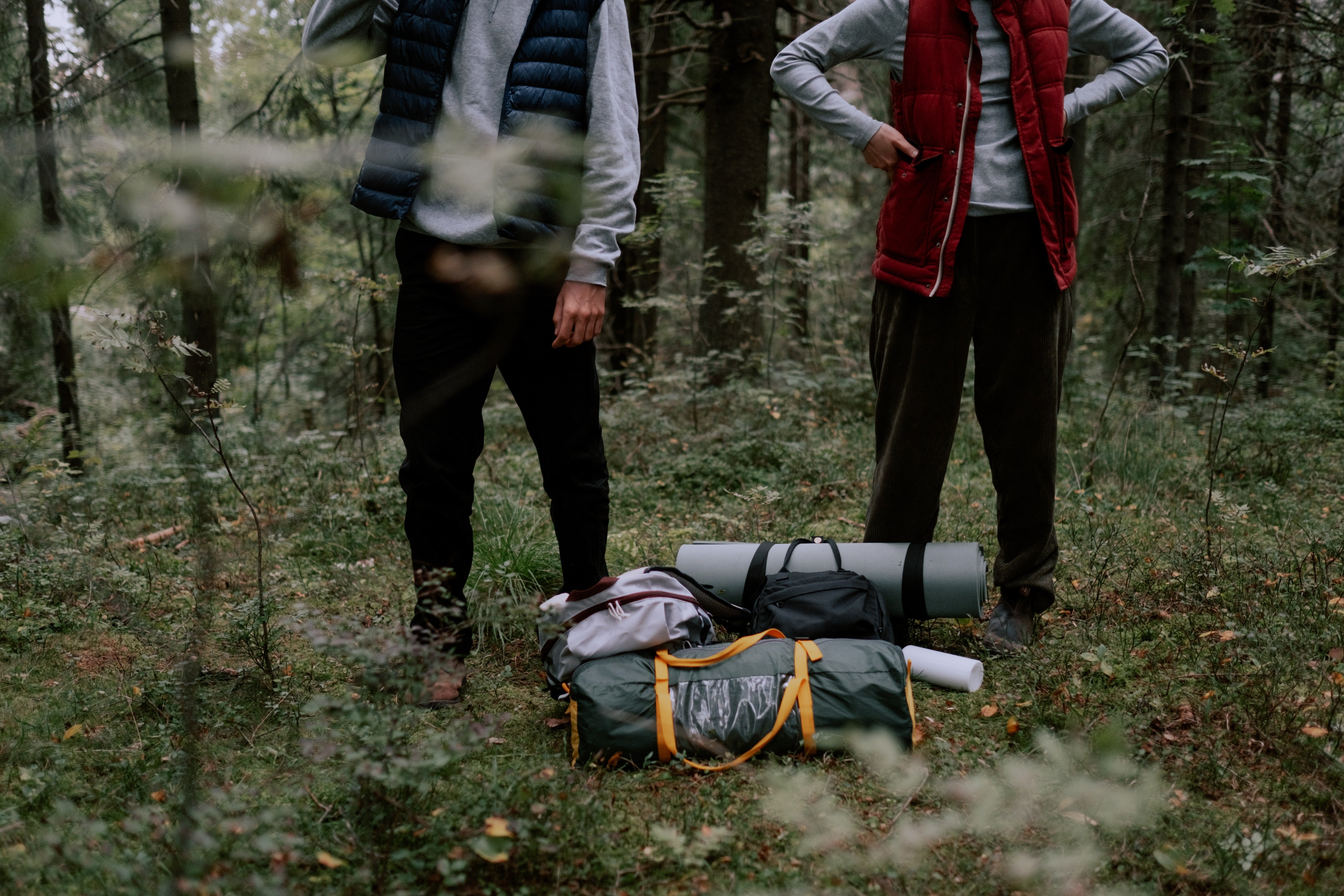 Pictured - A man and a woman in the forest | Source: Pexels 