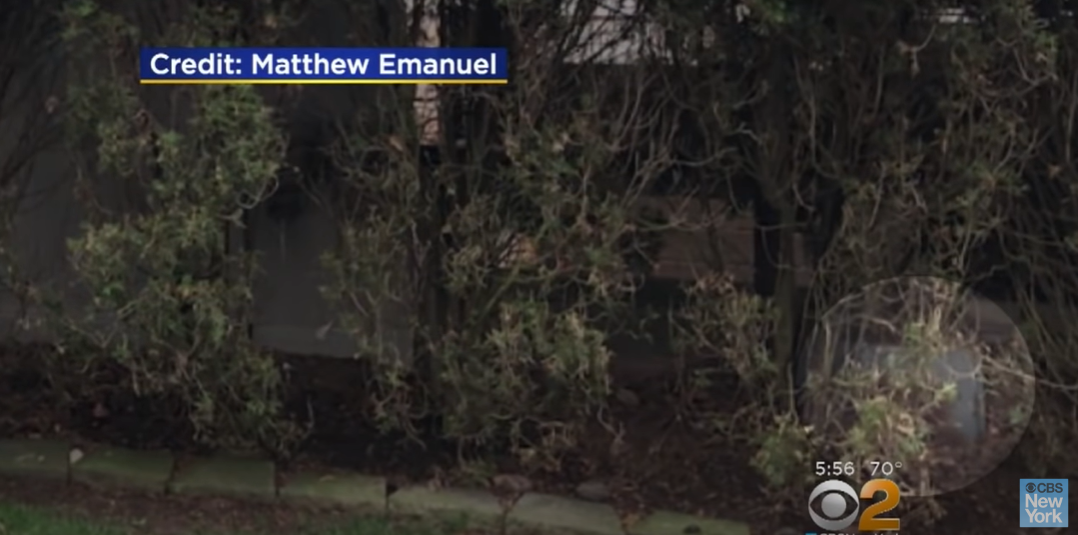 The item that Matthew Emanuel and his wife, Maria Colonna-Emanuel, thought was an electric box in their Todt Hill, Staten Island, yard on May 15, 2018 | Source: YouTube/CBS New York