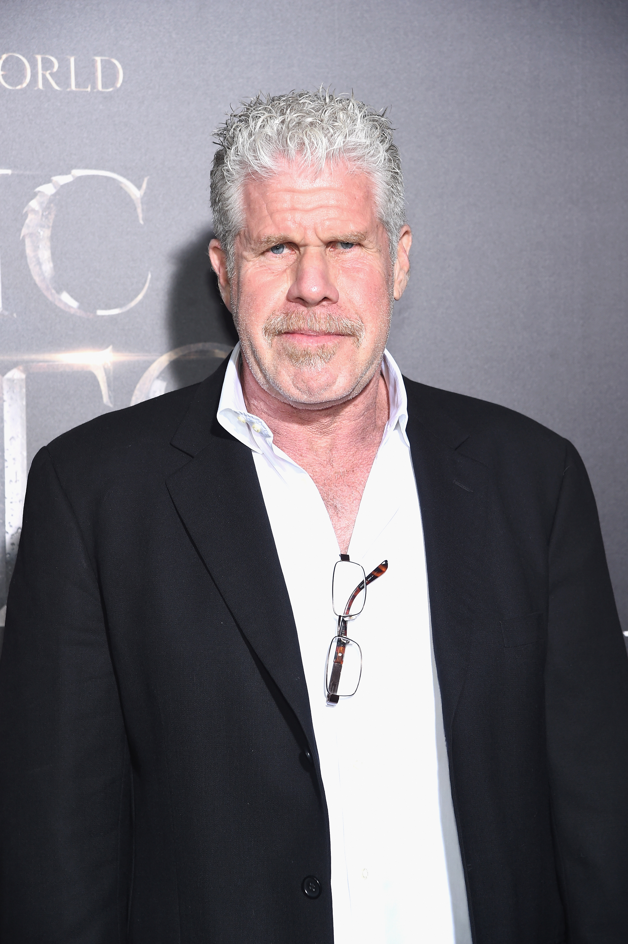 Ron Pearlman at the "Fantastic Beasts And Where To Find Them" World Premiere in 2016 | Source: Getty Images