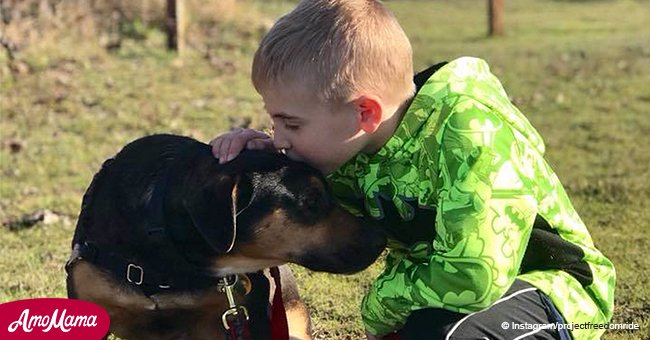 6-year-old boy saved more than 1,000 dogs from high-kill shelters