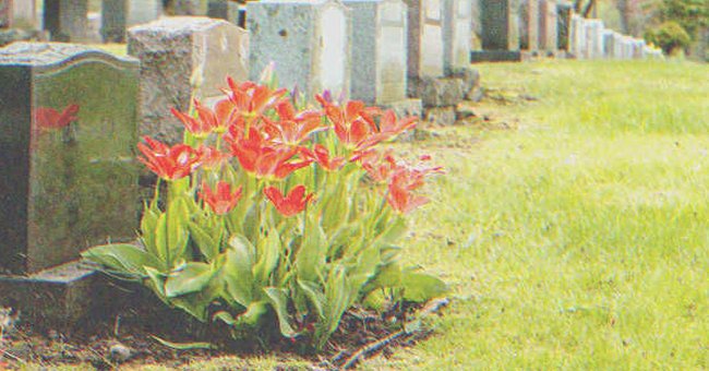 Flowers on a grave | Source: Shutterstock