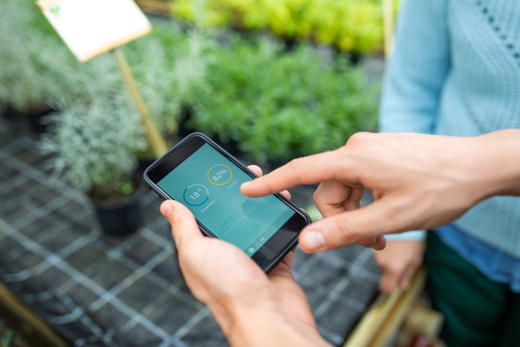 Close-up of gardener hands holding a smartphone with infographics on the plantation and irrigation. Garden workers keeping a check on plants using a mobile app at greenhouse. | Photo: Getty Images
