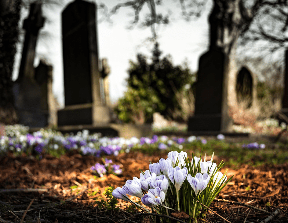 Blumen auf einem Friedhof. | Quelle: Pixabay/drippycat