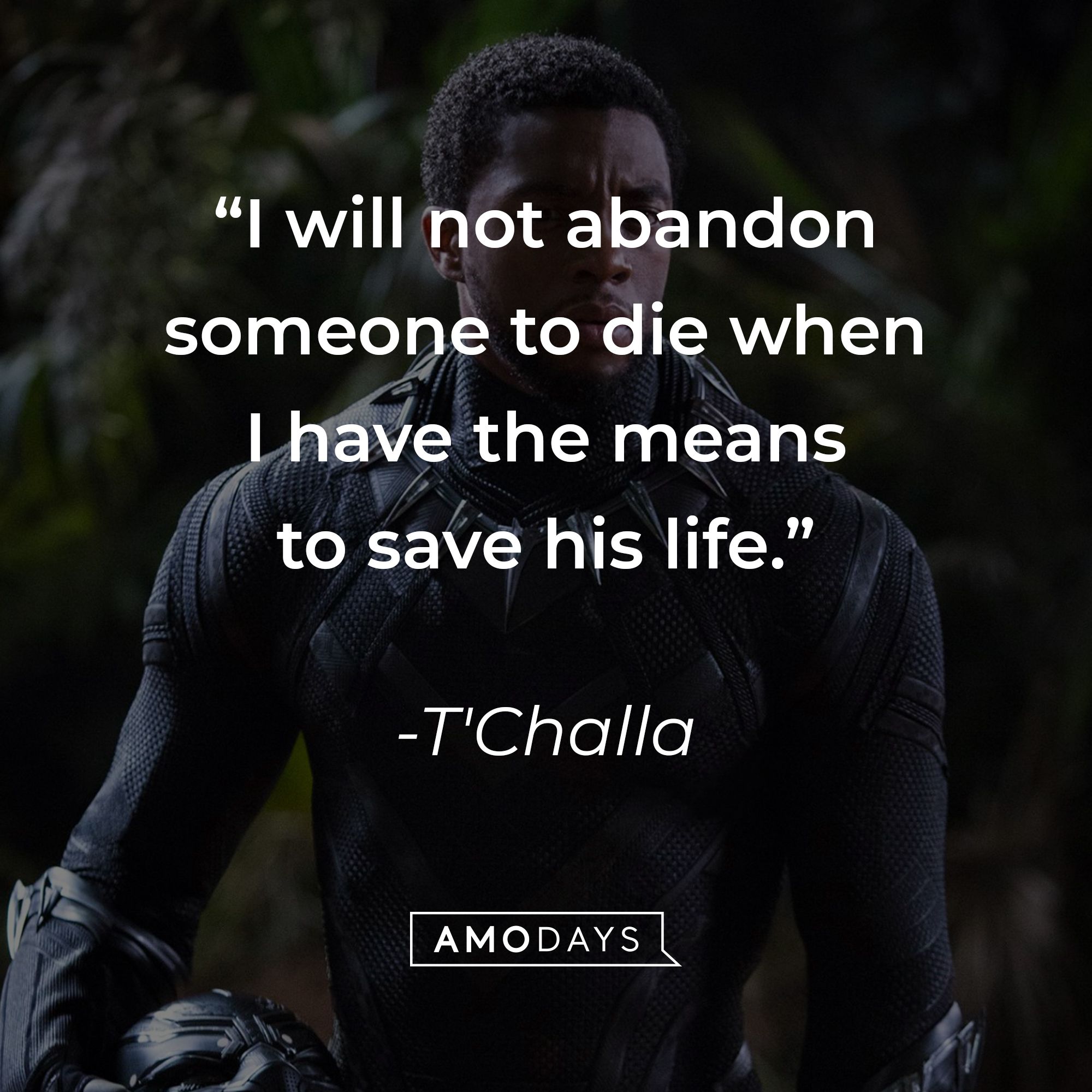 31 Tchalla Quotes From The True King Of Wakanda