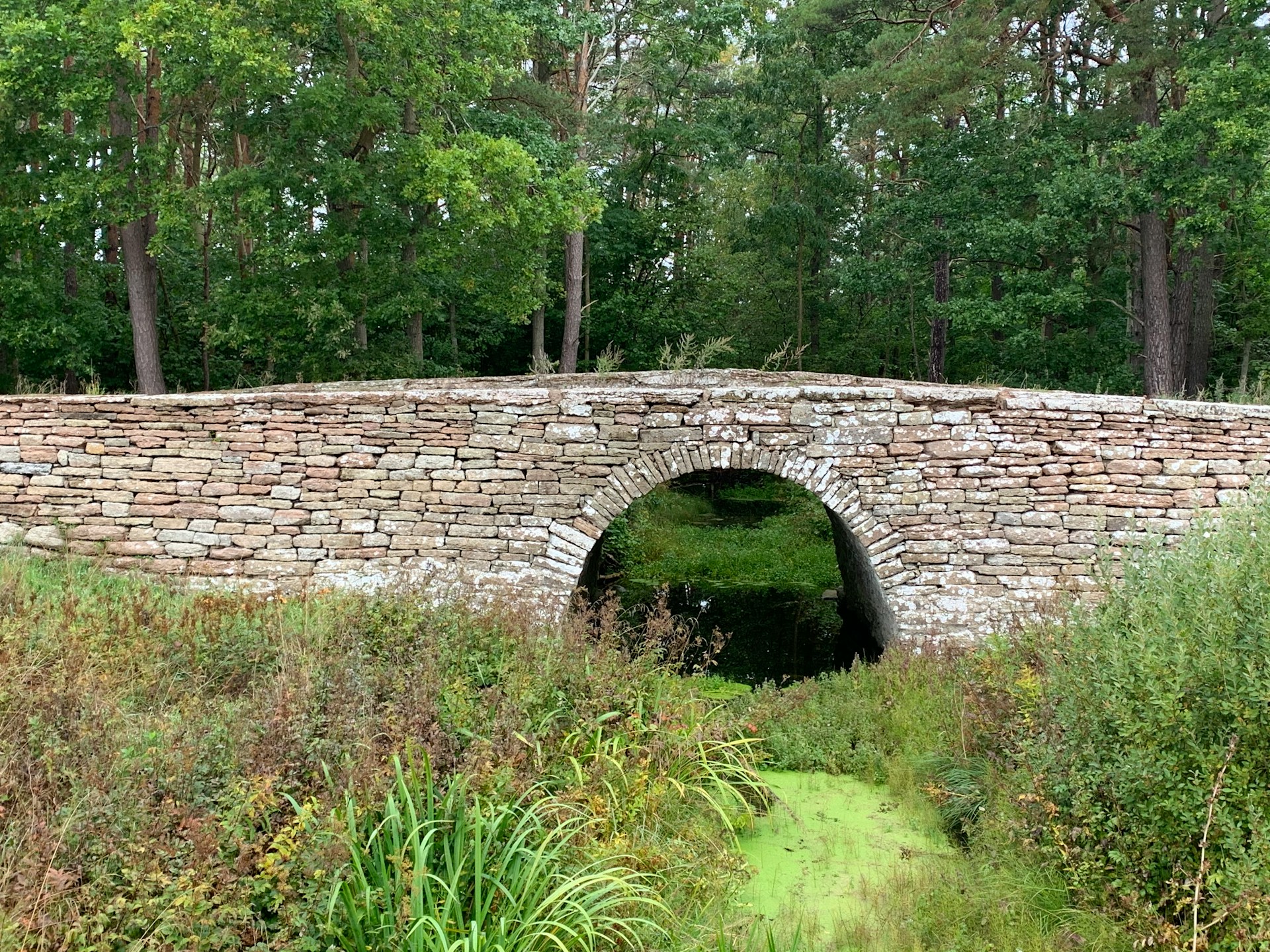A stone bridge | Source: Unsplash