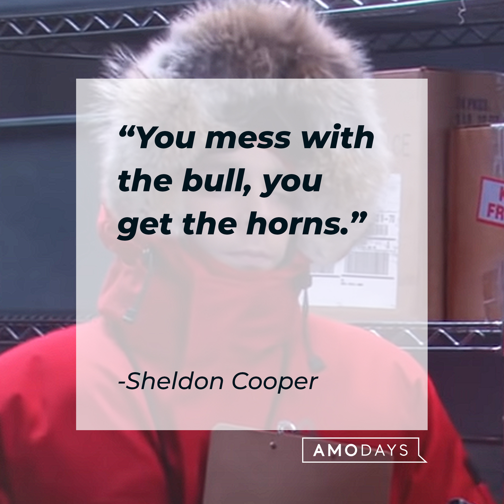 Sheldon Cooper's quote: "You mess with the bull, you get the horns." | Source: youtube.com/warnerbrostv