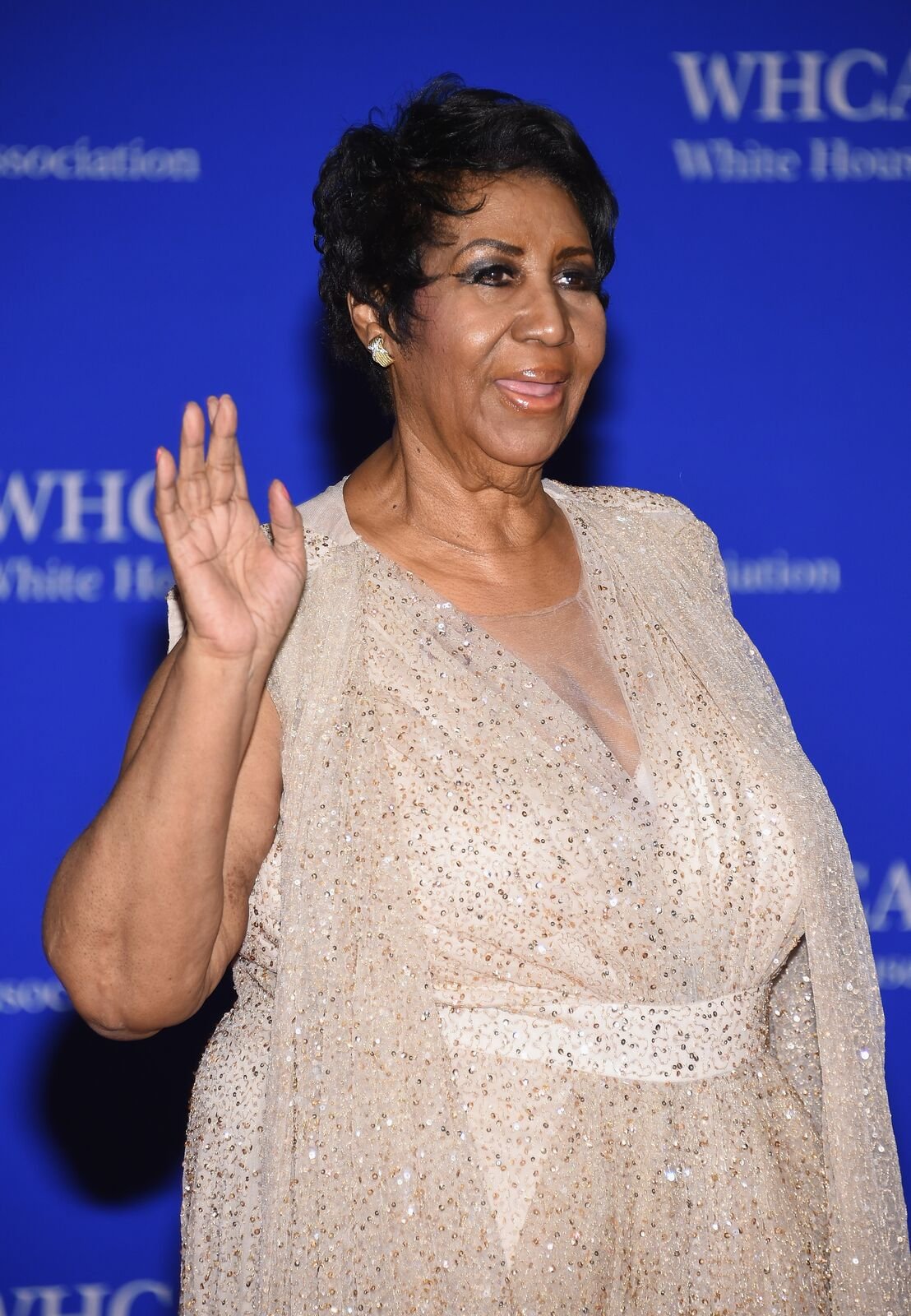 Singer Aretha Franklin attends the 102nd White House Correspondents' Association Dinner on April 30, 2016 in Washington, DC. | Photo: Getty Images