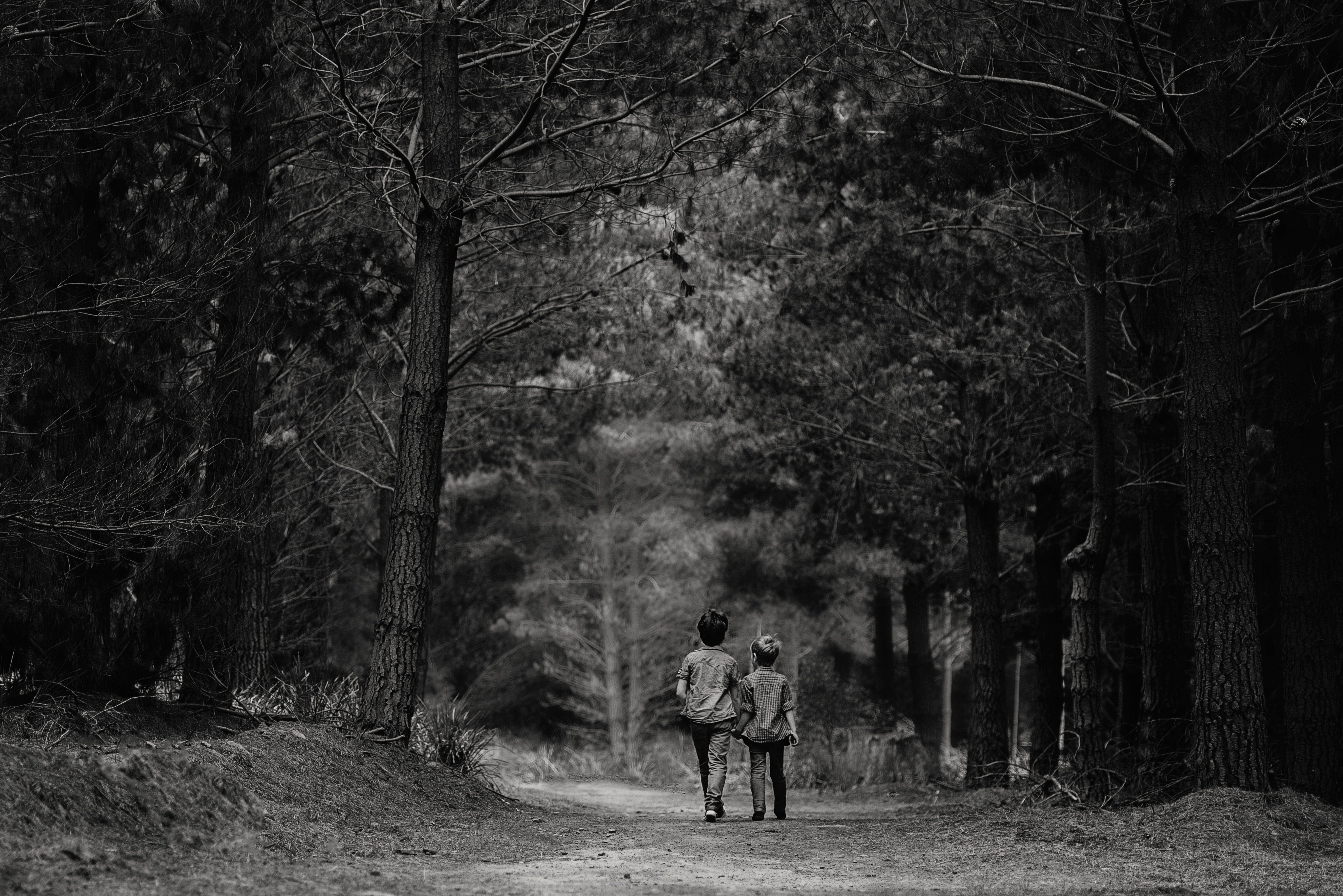 Two young boys walking in the woods | Source: Pexels